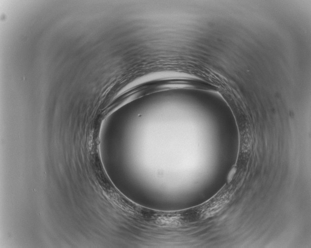 X0000060770560200511141300