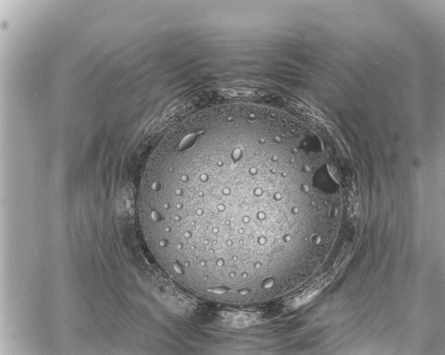 X0000060770561200511141300