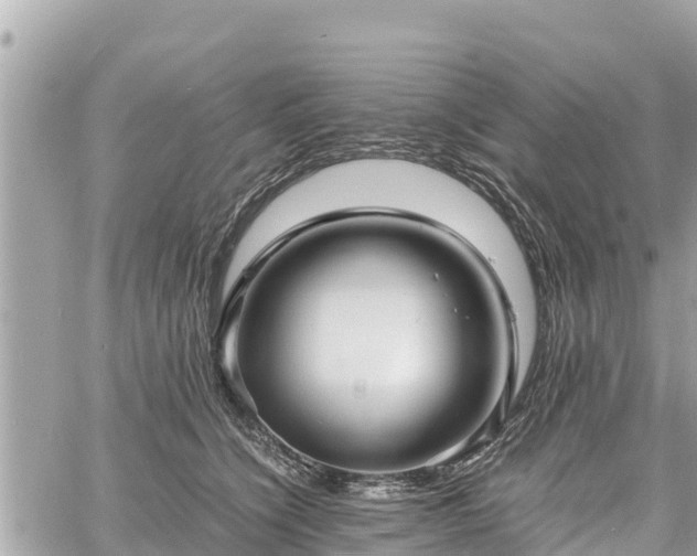 X0000060770564200511141300