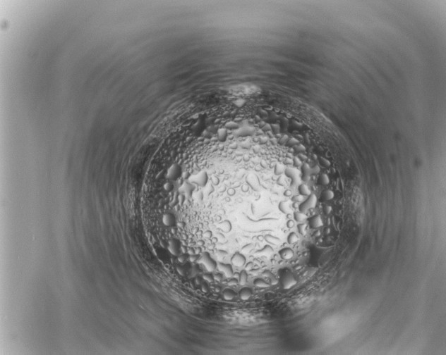 X0000060770565200511141300