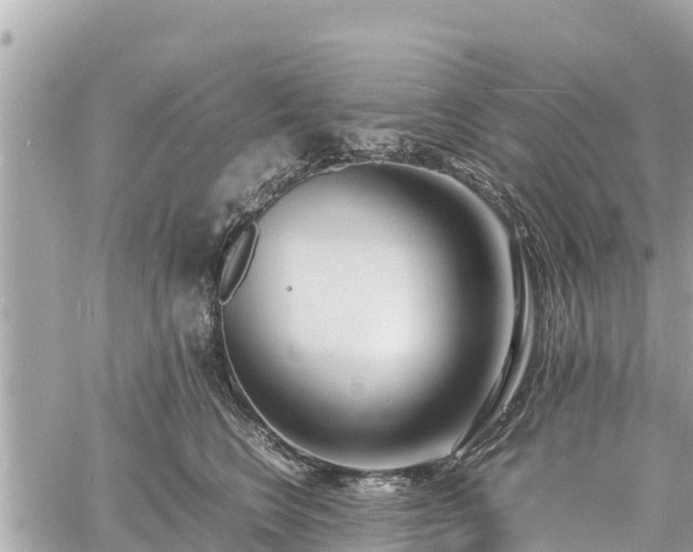 X0000060770566200511141300