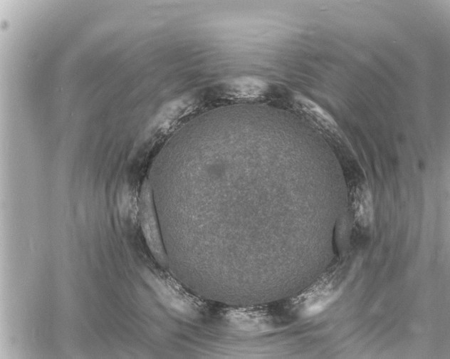 X0000060770568200511141300