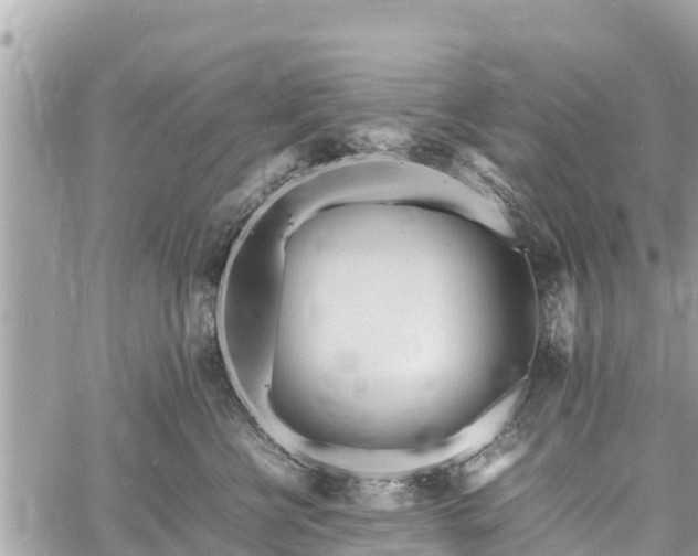 X0000060770570200511141300