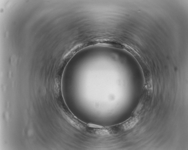 X0000060770572200511141300