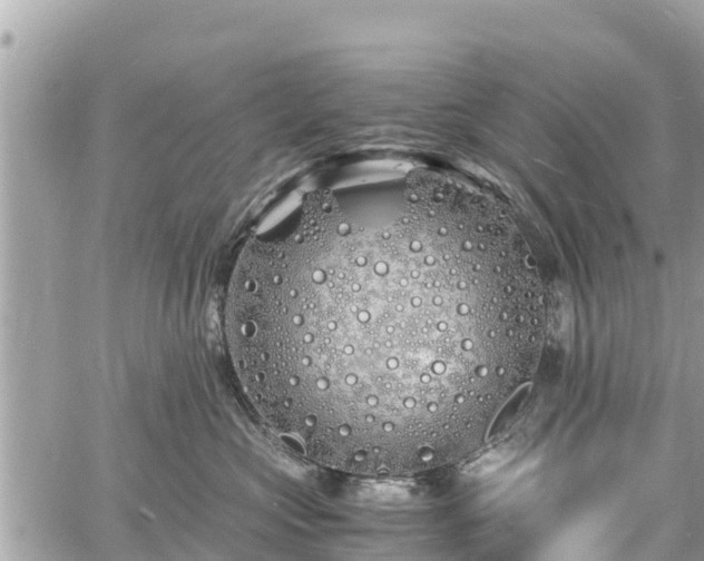 X0000060770573200511141300