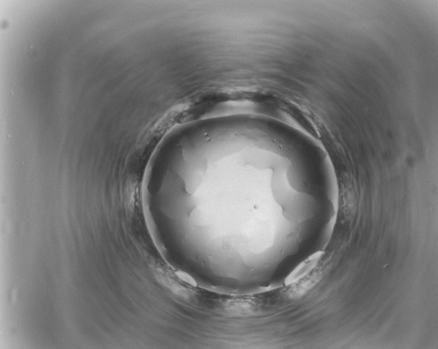 X0000060770574200511141300