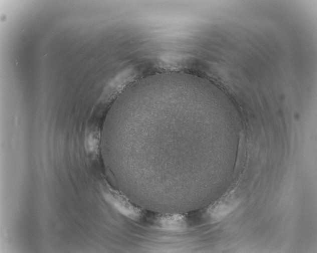 X0000060770576200511141300