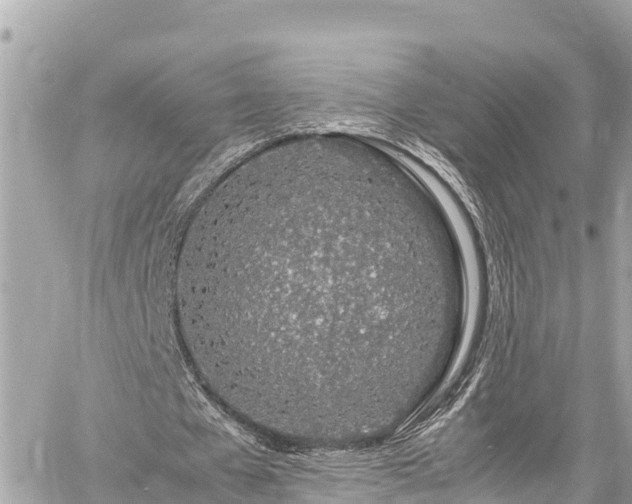 X0000060770577200511141259