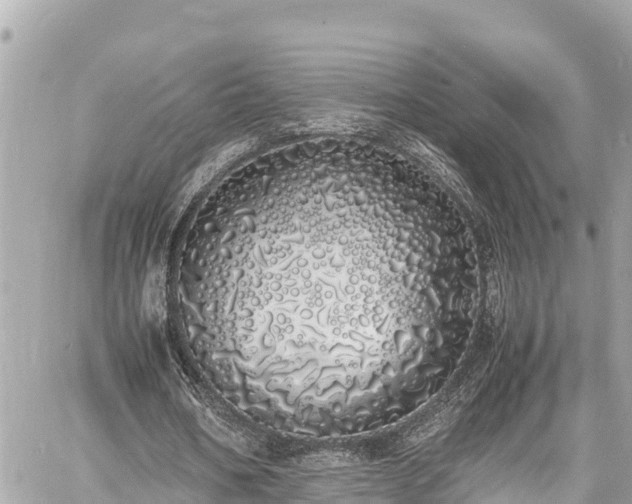 X0000060770578200511141259