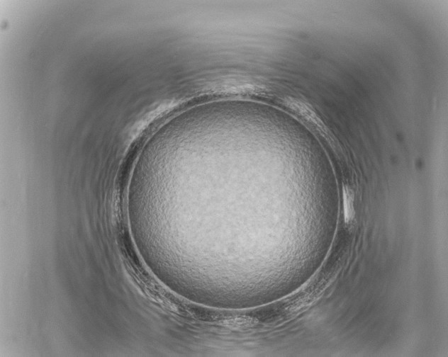 X0000060770579200511141259