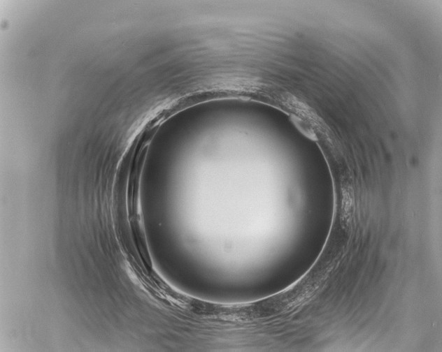 X0000060770580200511141259