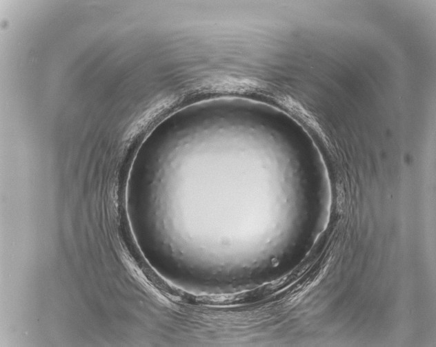 X0000060770581200511141259