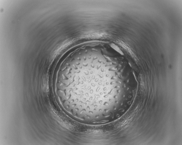 X0000060770582200511141259