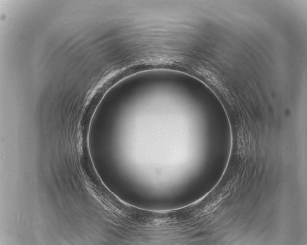 X0000060770584200511141259