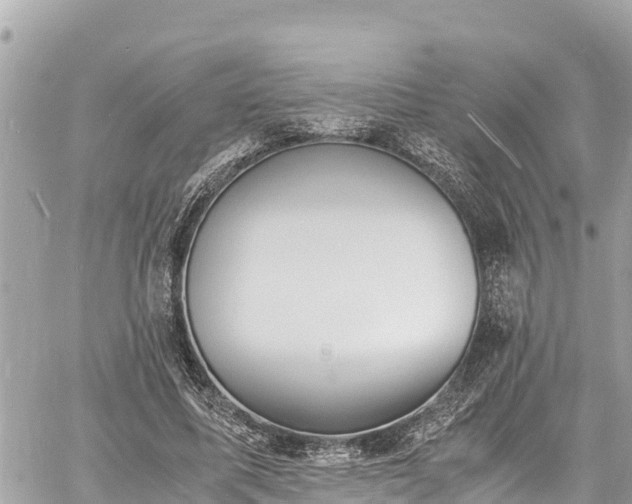 X0000060770587200511141259