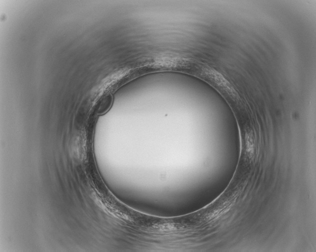 X0000060770588200511141259