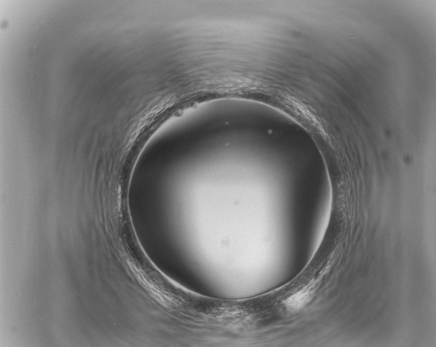 X0000060770589200511141259