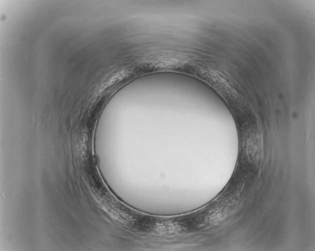 X0000060770591200511141259