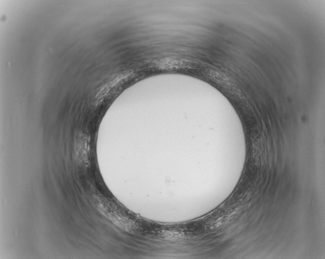 X0000060770592200511141259