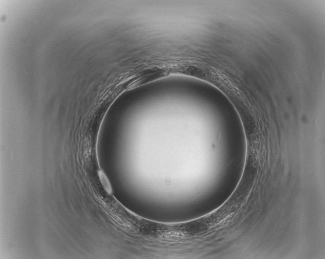 X0000060770593200511141259