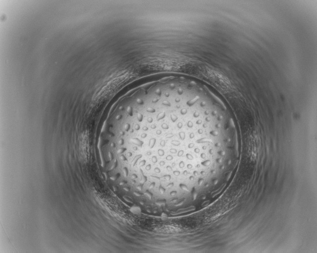 X0000060770594200511141259