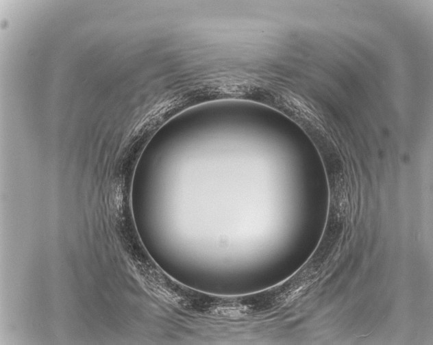 X0000060770595200511141259