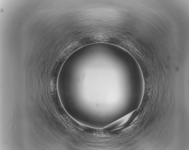 X0000060770597200511141259