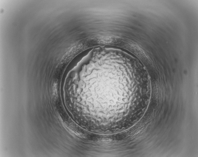 X0000060770598200511141259