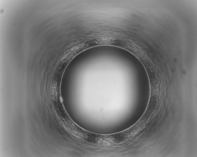 X0000060770599200511141259