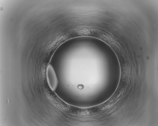 X0000060770600200511141259