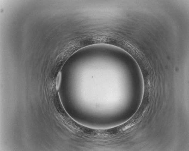 X0000060770601200511141259