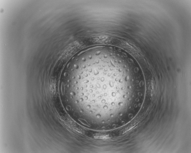 X0000060770602200511141259