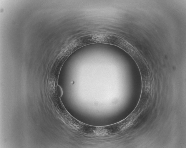 X0000060770603200511141259