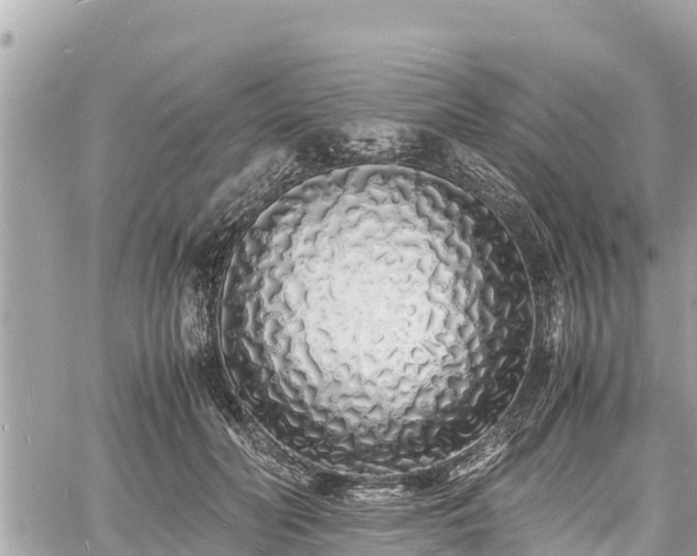 X0000060770606200511141259