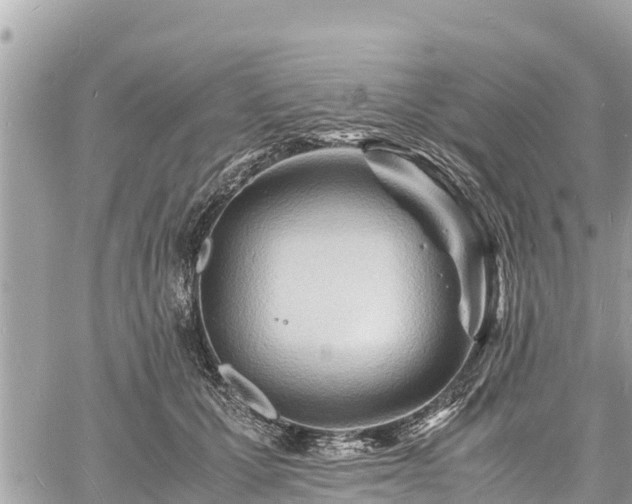 X0000060770607200511141259