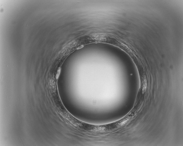 X0000060770609200511141259