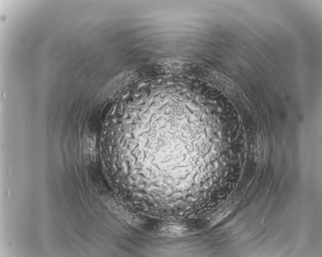 X0000060770610200511141259