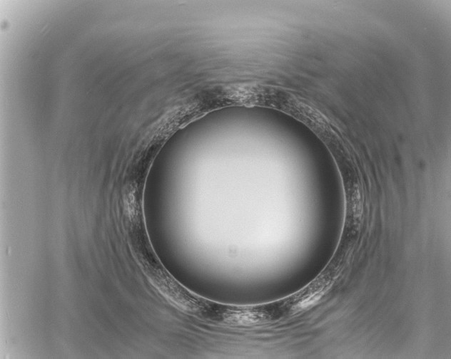 X0000060770611200511141259