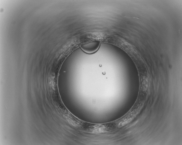 X0000060770612200511141259