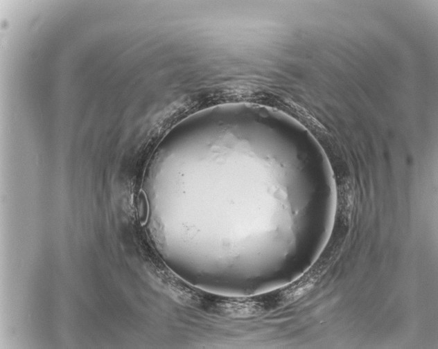 X0000060770615200511141259