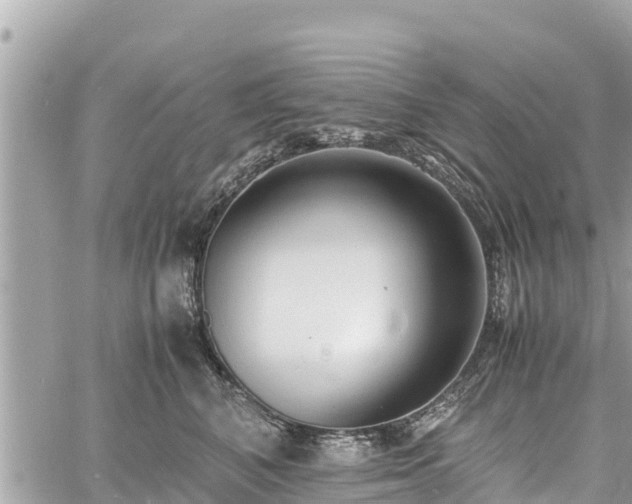 X0000060770616200511141259