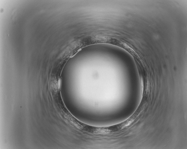 X0000060770617200511141259