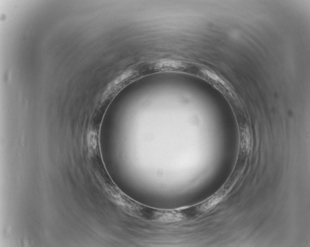 X0000060770621200511141259