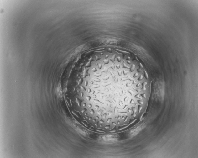 X0000060770622200511141259