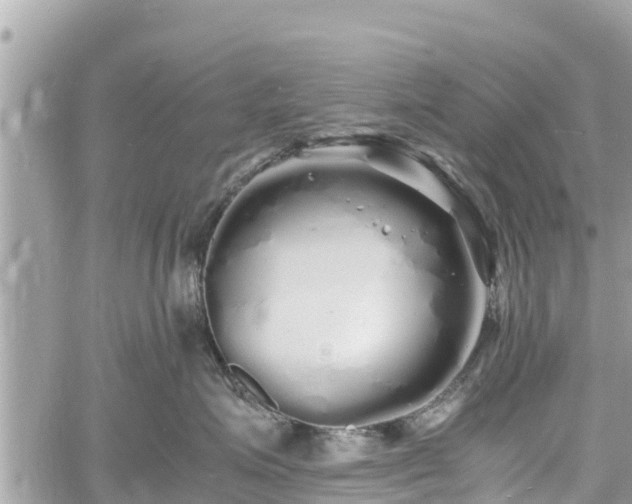 X0000060770623200511141259