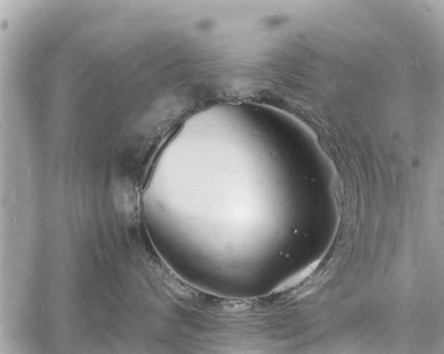 X0000060770624200511141259