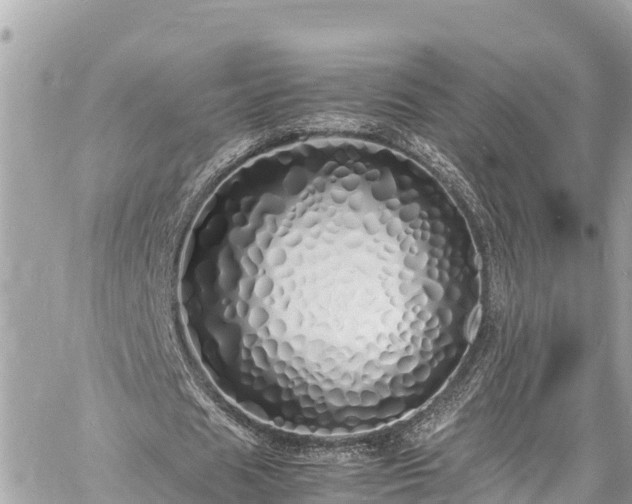 X0000060770625200511141258