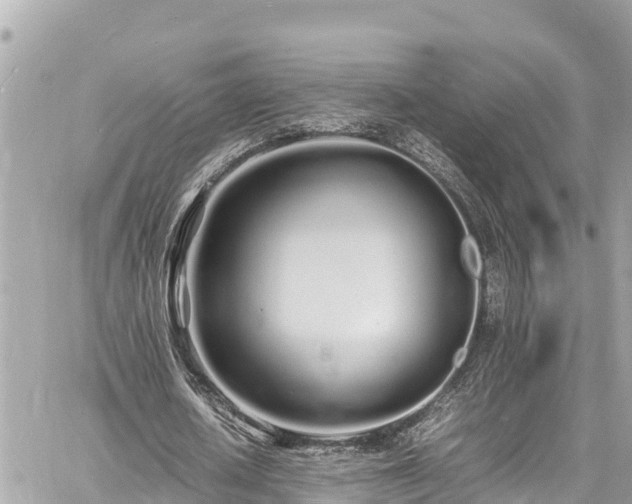 X0000060770626200511141258