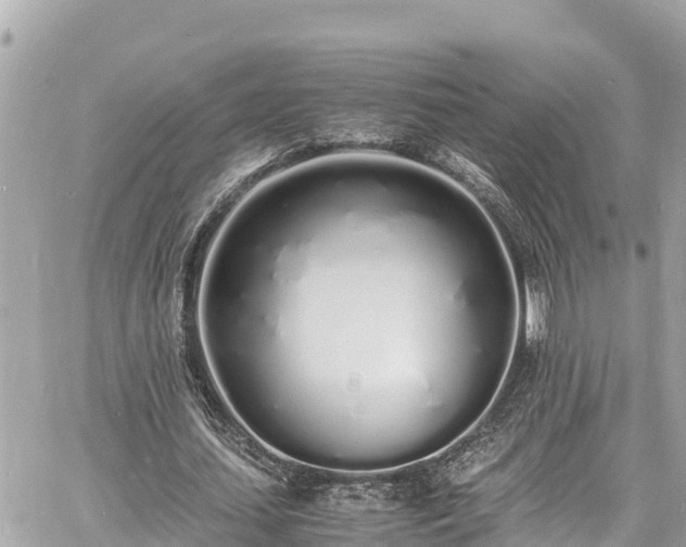 X0000060770627200511141258