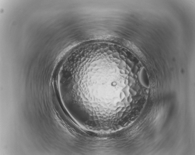 X0000060770628200511141258